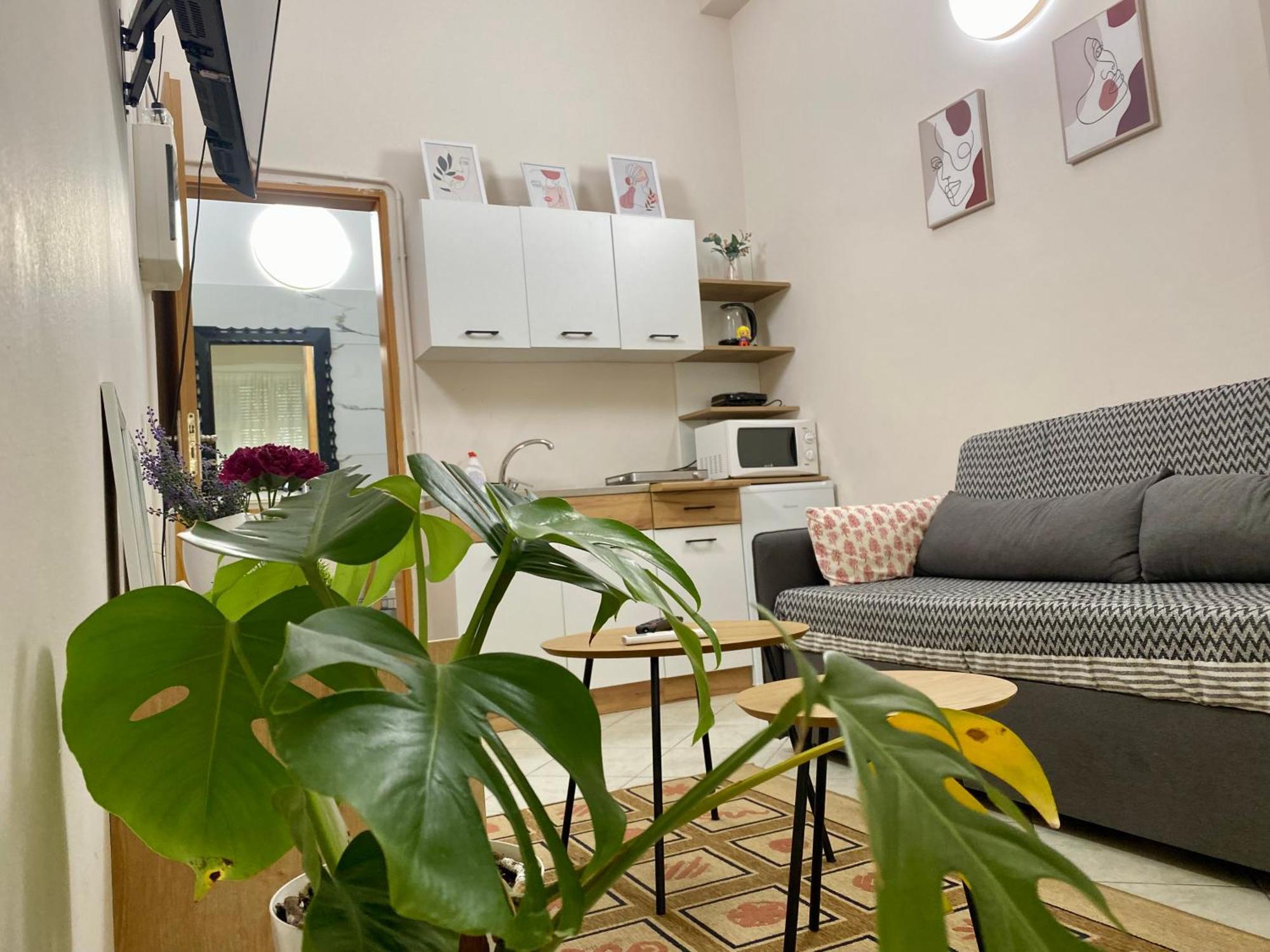Dori'S Wilson Studio At Blloku Neighborhood Tirana Exterior photo